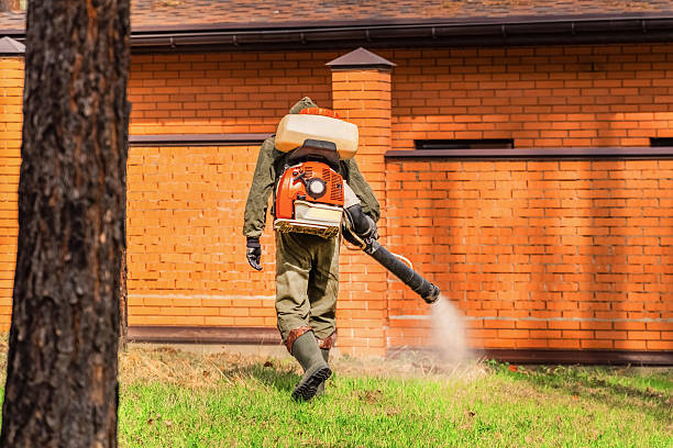 Top rated local Mosquito Control specialists in Queens, NY